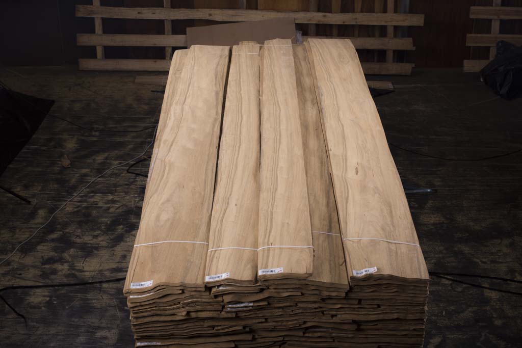 白榄仁木山直纹统级