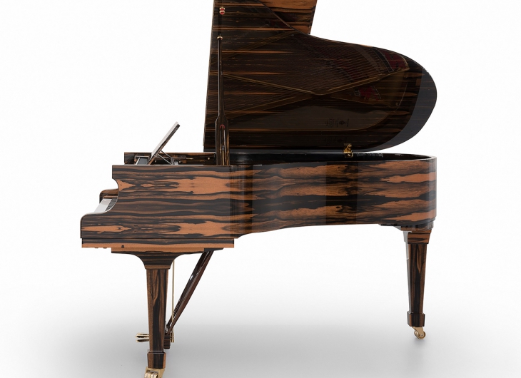 木皮应用于乐器