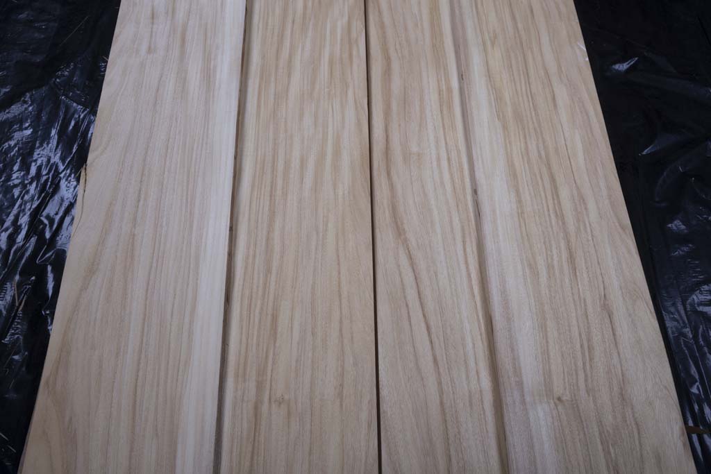 艳阳花木皮直纹