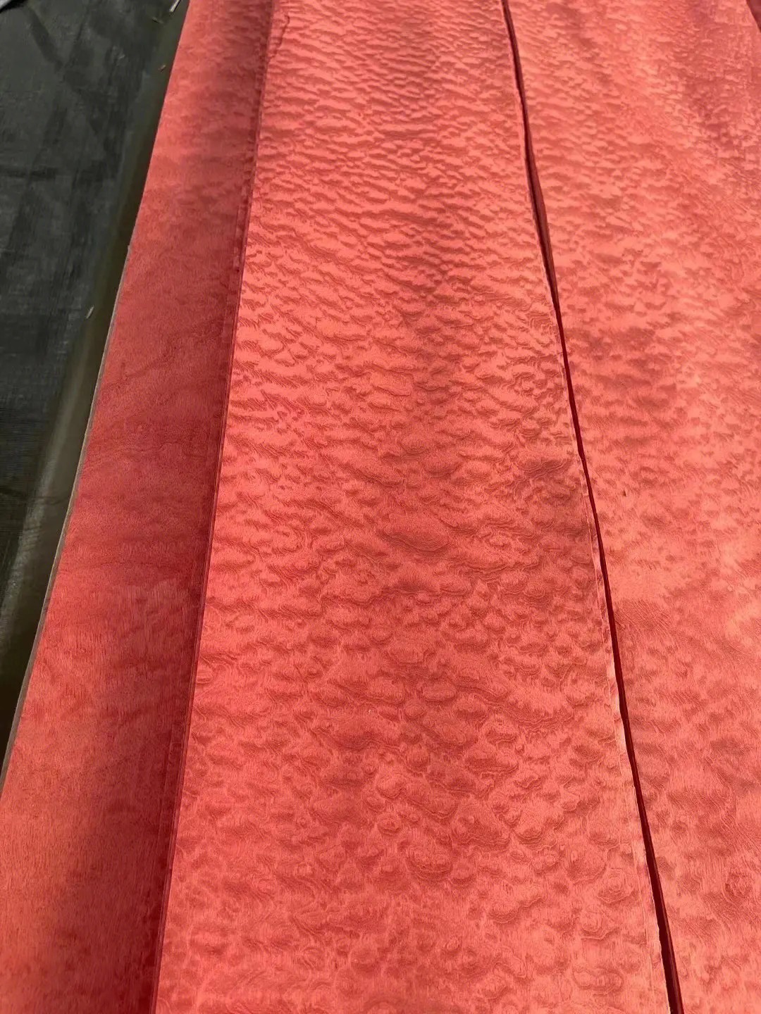 染色沙比利球纹